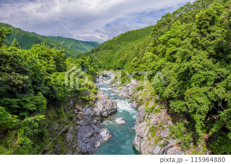 夏の渓谷美【領内峡】三重県多気郡大台町 115964880