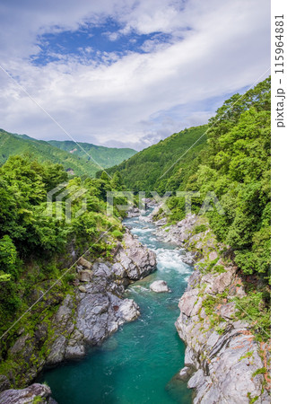 夏の渓谷美【領内峡】三重県多気郡大台町 115964881