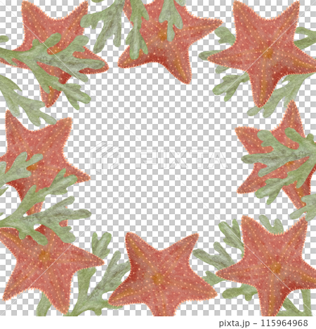 Watercolor hand-drawn starfish seaweed frame isolated on white. High quality flat illustration. Great for notebooks, souvenirs, stamps, tape, fishing, cards, guides, tourism, dishes, logo decor design Watercolor hand-drawn starfish seaweed frame isolated on white. High quality flat illustration. Great for notebooks, souvenirs, stamps, tape, fishing, cards, guides, tourism, dishes, logo decor design 115964968