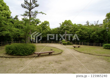 道後公園湯築城跡地の広場の風景 道後公園湯築城跡地の広場の風景 115965240