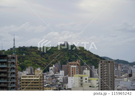道後公園から見る松山城 道後公園から見る松山城 115965242