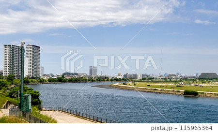 city in the river 115965364