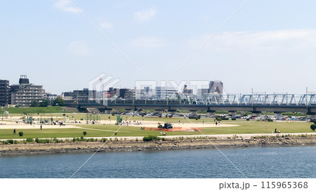 city park in the city 115965368