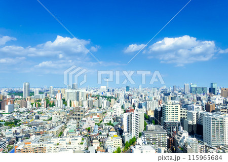 スカイツリーと都心の街並 スカイツリーと都心の街並 115965684