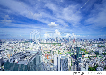東京・渋谷から望む大都会 115965688