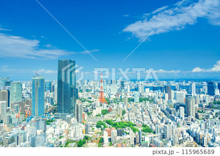 東京風景　青空と海 115965689