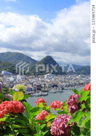 （静岡県）アジサイ咲く、下田公園・眼下に下田の街並み 115965734