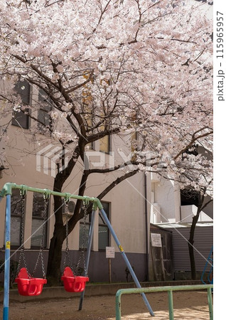桜の木と赤いブランコ 桜の木と赤いブランコ 115965957