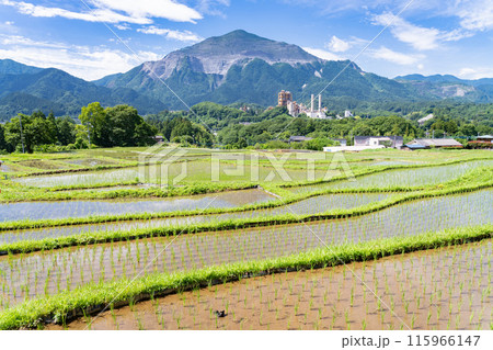 《埼玉県》田植えシーズンの寺坂棚田・初夏の秩父 115966147