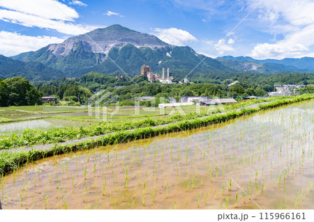 《埼玉県》田植えシーズンの寺坂棚田・初夏の秩父 《埼玉県》田植えシーズンの寺坂棚田・初夏の秩父 115966161