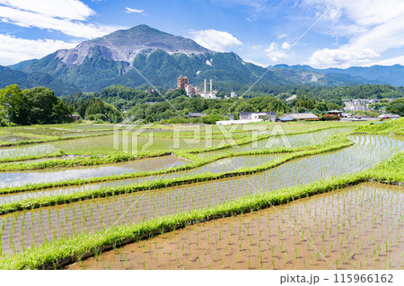 《埼玉県》田植えシーズンの寺坂棚田・初夏の秩父 《埼玉県》田植えシーズンの寺坂棚田・初夏の秩父 115966162