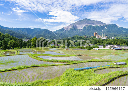 《埼玉県》田植えシーズンの寺坂棚田・初夏の秩父 《埼玉県》田植えシーズンの寺坂棚田・初夏の秩父 115966167
