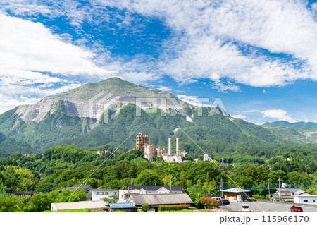 《埼玉県》田植えシーズンの寺坂棚田・初夏の秩父 115966170