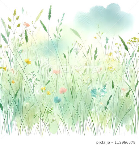春の野の花が咲く野原の水彩イラストのイラスト素材 [115966379] - PIXTA