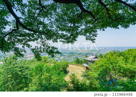 月見の森、いこいの広場からの眺望〈岐阜県海津市〉 115966498