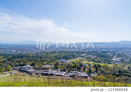【春】奈良公園　若草山からの眺望【桜】 115966688