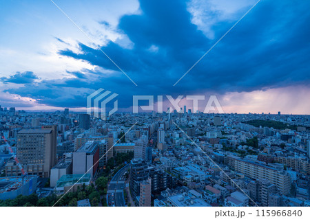 《東京都》発達する雨雲・ゲリラ豪雨 115966840