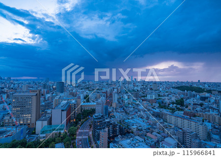 《東京都》発達する雨雲・ゲリラ豪雨 115966841
