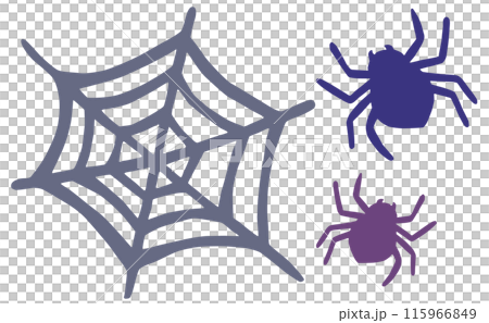 蜘蛛と蜘蛛の巣のイラスト ベクター素材 115966849