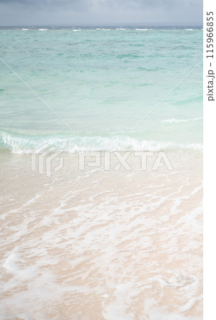 南国リゾートの青い海 115966855