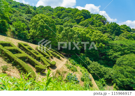 月見の森、いこいの広場〈岐阜県海津市〉 115966917