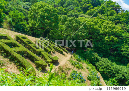 月見の森、いこいの広場〈岐阜県海津市〉 115966919