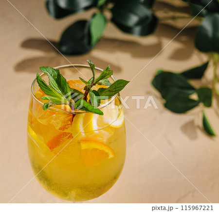 Refreshing citrus cocktail with mint garnish Refreshing citrus cocktail with mint garnish 115967221