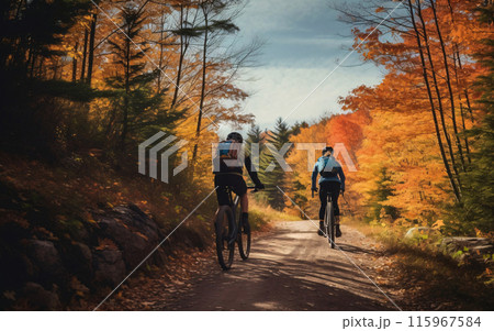 Wellness and sport activity in autumn, Two cyclists riding along an autumn forest road, back view Wellness and sport activity in autumn, Two cyclists riding along an autumn forest road, back view 115967584