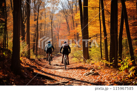 Wellness and sport activity in autumn, Two cyclists riding along an autumn forest road, back view Wellness and sport activity in autumn, Two cyclists riding along an autumn forest road, back view 115967585