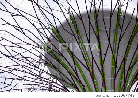 Supertree Grove in Garden By the Bay, Singapore. It features towering tree-like structures that provide shade, light up at night, and support vertical gardens 115967748