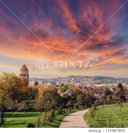 Germany, Stuttgart panorama view. Beautiful houses in autumn, Sky and nature landscape. Vineyards in Stuttgart - colorful wine growing region in the south of Germany with view over Neckar Valley 115967803