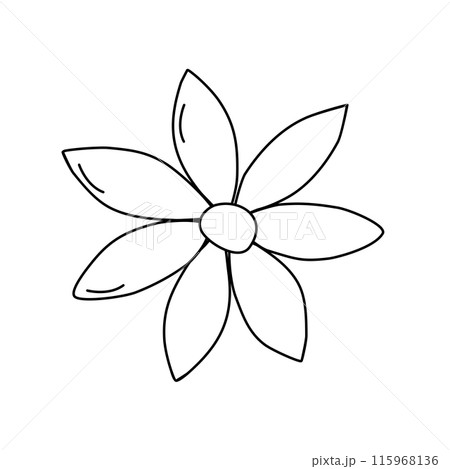 Star anise, cooking or baking ingredient, doodle style flat vector outline for coloring book Star anise, cooking or baking ingredient, doodle style flat vector outline for coloring book 115968136