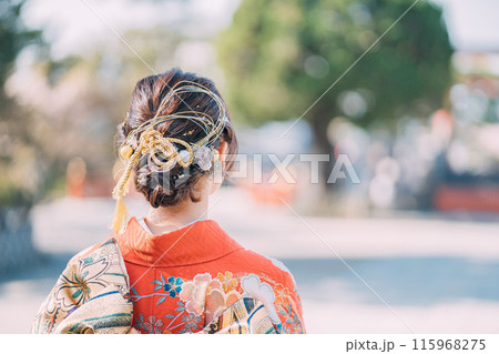 振袖を着た女性の後ろ姿 115968275