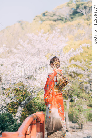 振袖を着た女性 振袖を着た女性 115968277