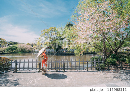 桜の木の下を歩く新成人 桜の木の下を歩く新成人 115968311