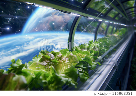 宇宙農場_野菜が栽培されている宇宙ステーションと見えている地球2 115968351