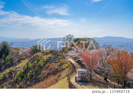 【春】奈良公園　若草山【桜】 115968718