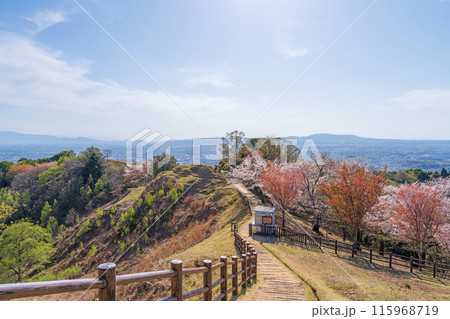 【春】奈良公園　若草山【桜】 115968719