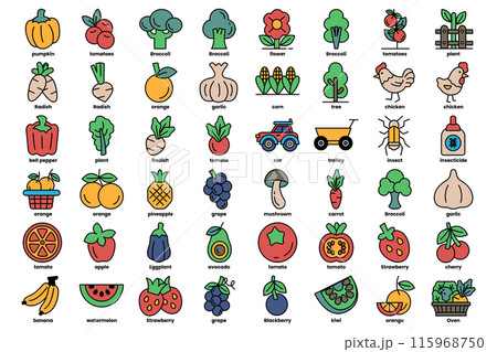 A collection of fruits and vegetables with a variety of colors and shapes A collection of fruits and vegetables with a variety of colors and shapes 115968750