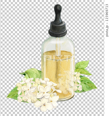 Fresh lilac flowers and a bottle of essential oil or infused water. Natural ingredient for cosmetics and perfumes. Aromatic hydrosol. Watercolor illustration with white syringa. 115969713