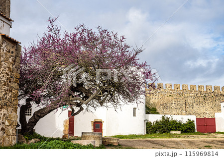 Medieval Castle of Sines in Alentejo, Portugal 115969814