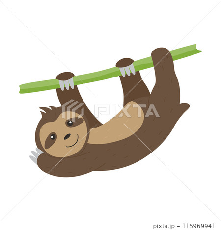 A wild animal. A cute sloth is hanging on a branch isolated on a white background. Flat vector illustrations for children. 115969941