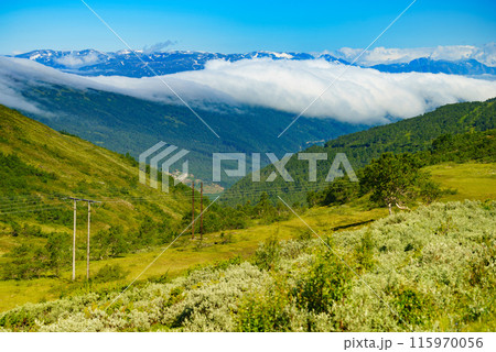 Mountains summer landscape, Norway 115970056