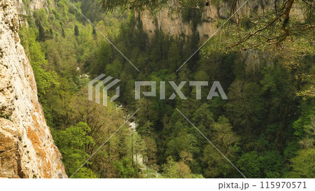 Beautiful view of lush green forest and gorge with a small river visible from a rocky cliff in the warm sunlight. View of the valley from the edge of the cliff. Beautiful view of lush green forest and gorge with a small river visible from a rocky cliff in the warm sunlight. View of the valley from the edge of the cliff. 115970571