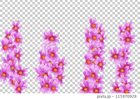 Lythrum salicaria flower card 1 115970929