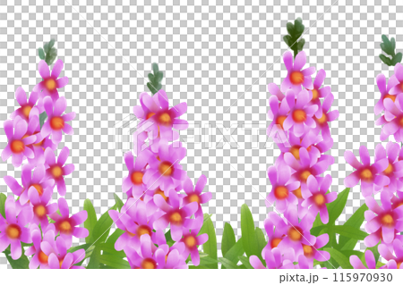 Lythrum salicaria flower card 2 115970930