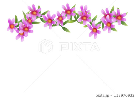 溝萩(ミソハギ)の花のカード4 溝萩(ミソハギ)の花のカード4 115970932