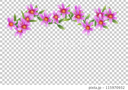 溝萩(ミソハギ)の花のカード4 溝萩(ミソハギ)の花のカード4 115970932