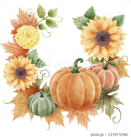 Watercolor Hand drawn illustration Rustic watercolor autumn pumpkin sunflower marigold flowers maple foliage fall wreath Arrangement. Watercolor Hand drawn illustration Rustic watercolor autumn pumpkin sunflower marigold flowers maple foliage fall wreath Arrangement. 115971096