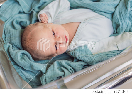 A newborn rests peacefully in his transparent bassinet in the hospital. The clear bassinet provides visibility for medical staff to monitor the baby's well-being while ensuring a safe and comfortable A newborn rests peacefully in his transparent bassinet in the hospital. The clear bassinet provides visibility for medical staff to monitor the baby's well-being while ensuring a safe and comfortable 115971305